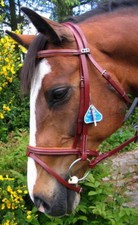 STUBBEN 3000 Limerick Split Head Padded German Leather Fine Dressage Bridle 5/8"