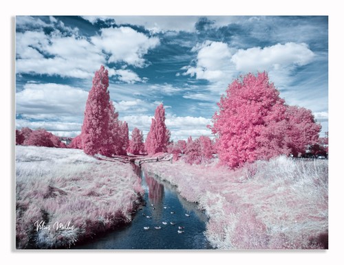Converted infrared full - converted, ir