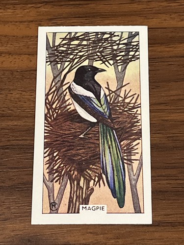 1961 sunlight soap magpie - 1961,