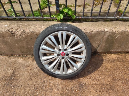 Jaguar x250 single - xf, 19"