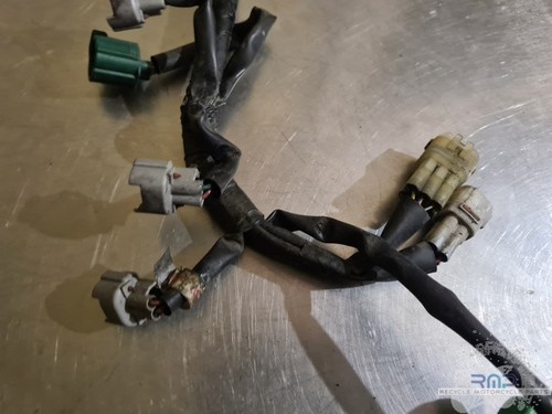 Injection harness fz6 2007 - s2,