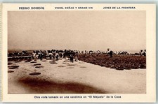 10660996 - El Puerto de Santa