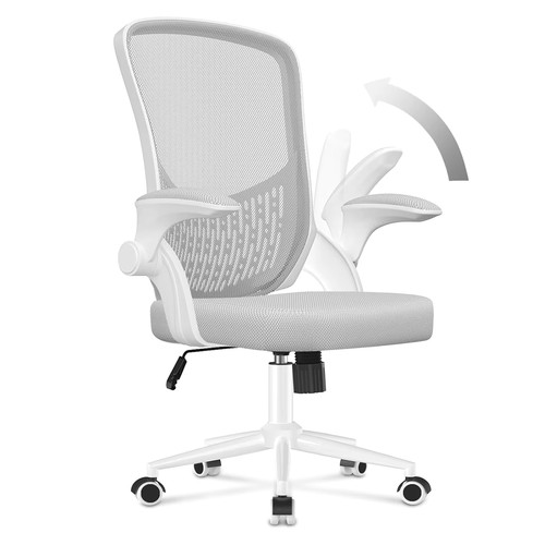 Back support office - back, chair