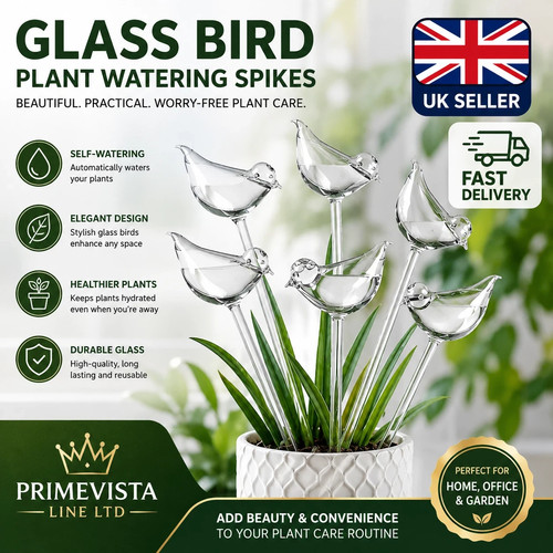 Packs bird shaped - 5,