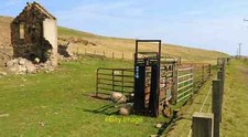Photo 6x4 Cattle crush Drumeldrie Next to the ruins of Viewforth Cottage  c2019