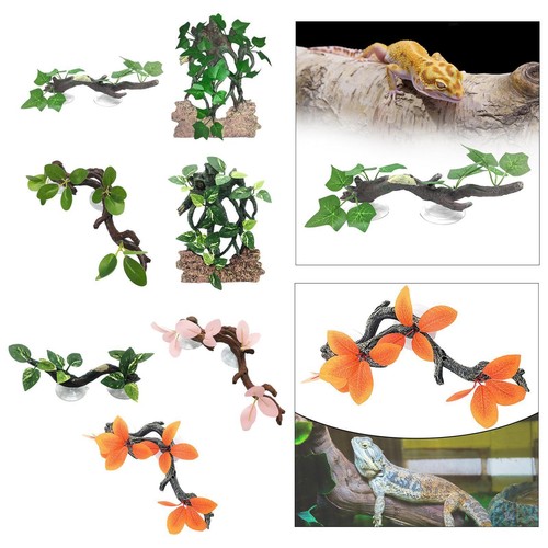 Reptile corner branch - corner,