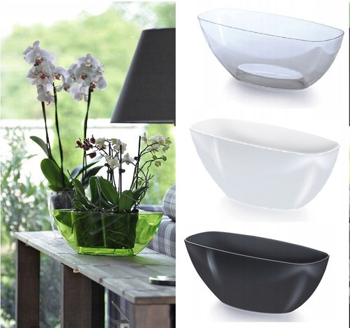 Plant orchid pot plastic - pot,