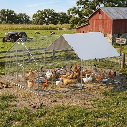 Metal chicken coop - chicken,