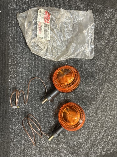 Yamaha ag100 indicators - yamaha,