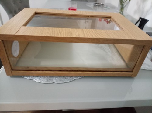Small reptile tank - reptile,