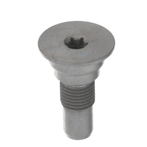 Bmw kickstand screw - kickstand, gs