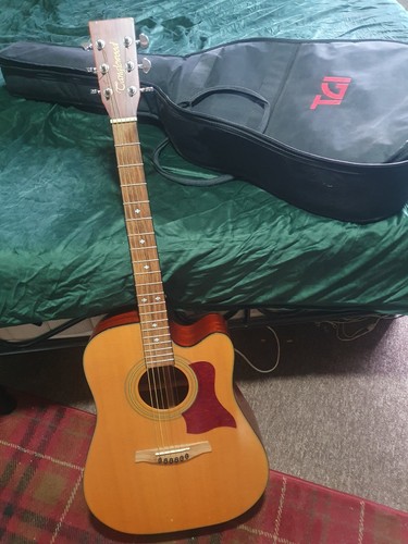 Tanglewood tw12 sundance - tw12, ce