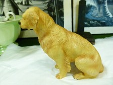 Leonardo collection golden