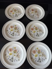 Six J&G Meakin Trend Hedgerow