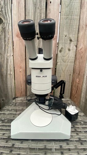 Wild heerbrugg m3z - stereo, zoom