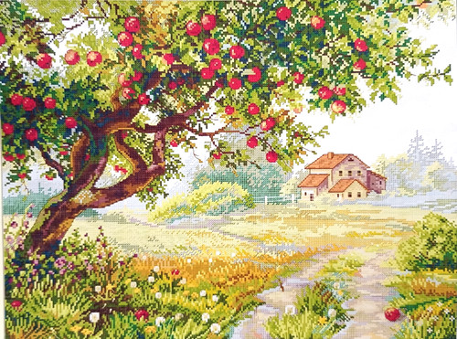 The old apple tree - old,