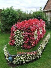 PHOTO  FLORAL NARROWBOAT THE ANCHOR INN HIGH OFFLEY STAFFORDSHIRE SEVERAL WEEKS