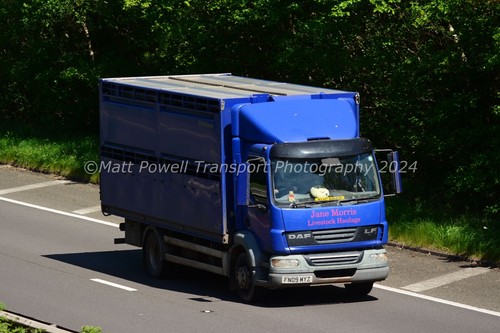 Truck photo 12x8 daf - photo,