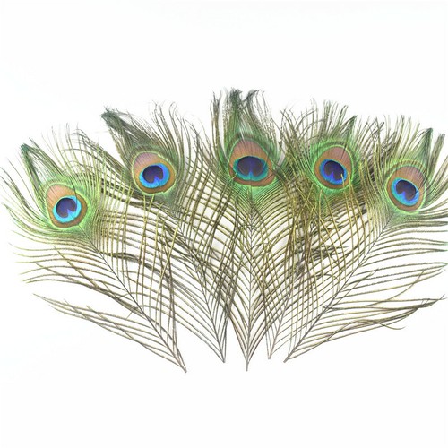 5pcs natural real - 5pcs,