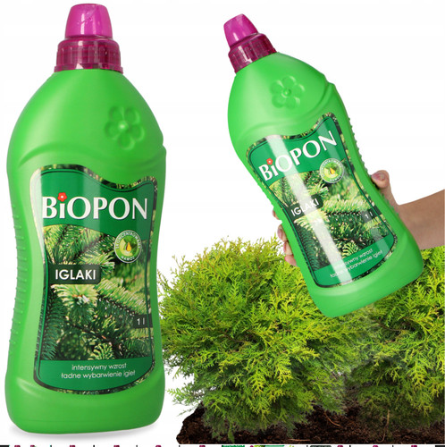 Conifers fertilizer - fertilizer,