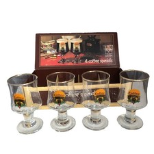DEMA Irish Liquor Glasses Set