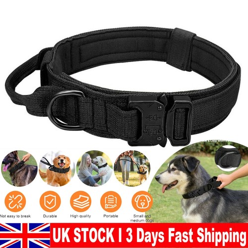 Heavy duty tactical dog - dog, collar