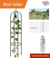 Modern Cylindrical Garden