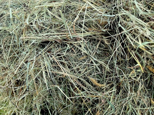 Gorgeous natural meadow hay - natural,