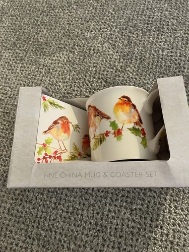 The winter robin - robin, &