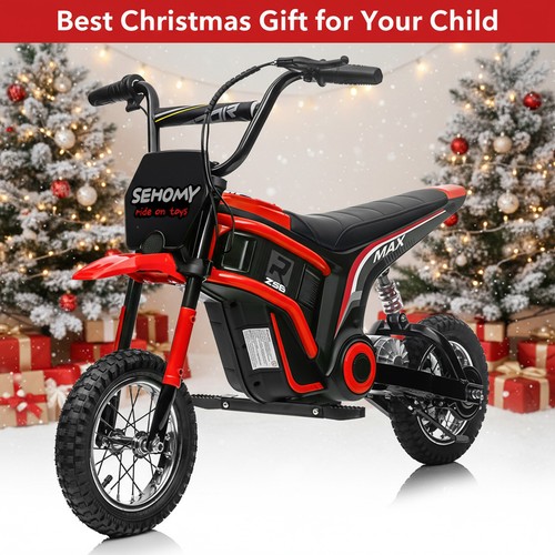 24v 350w electric dirt bike - 350w,