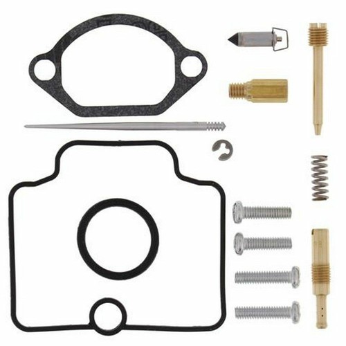 Carburetor revision kit - carburetor, for