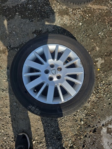 Rover 11 spoke 18 - mg, 18"