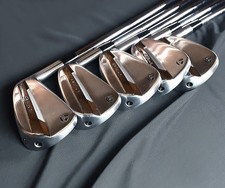 TaylorMade P790 2025 Iron set 6-pw / NSPRO 950GH neo S