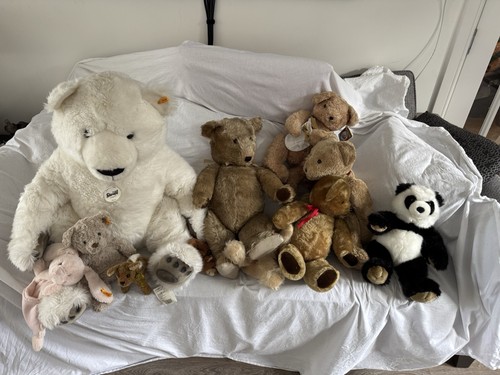 Teddy collection steiff - steiff, and