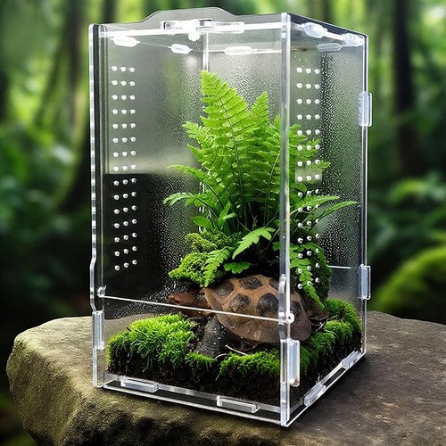 Jumping spider enclosure - jumping,