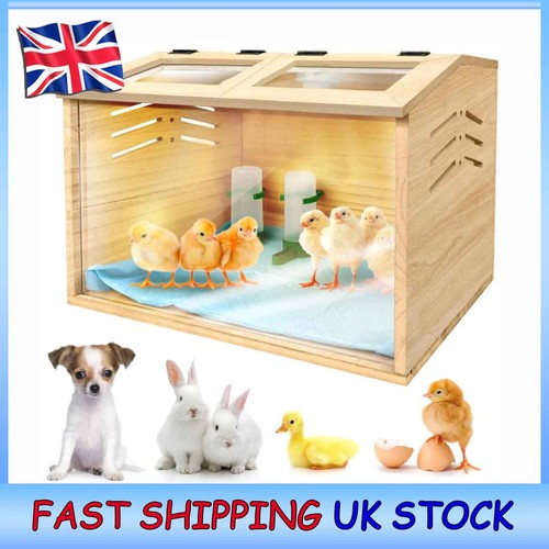 Wooden hamster quail enclosure - wooden,
