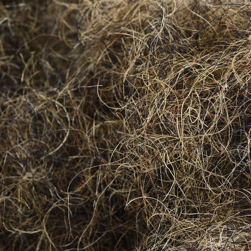 Upholstery horse hair - horse, filling