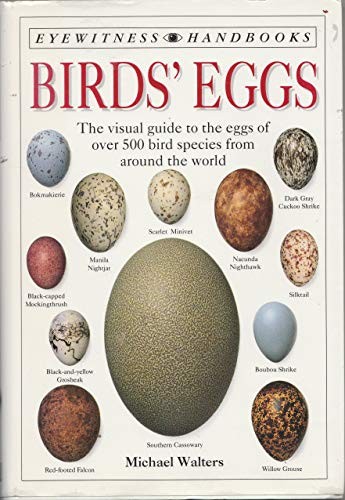 Birds eggs eyewitness - eggs, (eyewitness