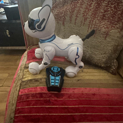 Remote control robot - robot, toy