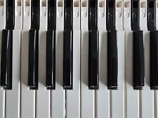 Keys / springs from Korg M1. Fits 01Wfd, T3, Triton, Oasys, DX7, Motif 6/7, SY77