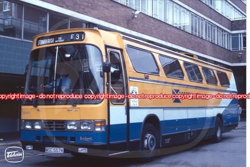 Coach photo eastern - coach,