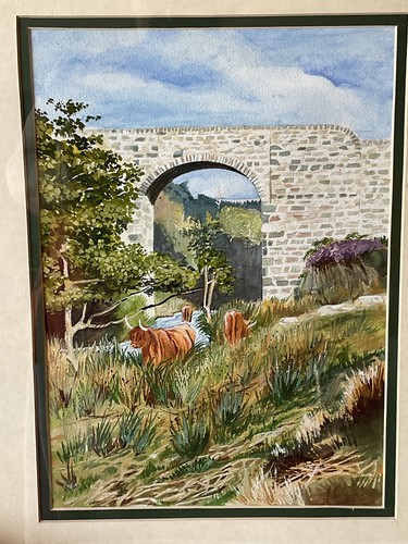 Highland cows grazing - cows,