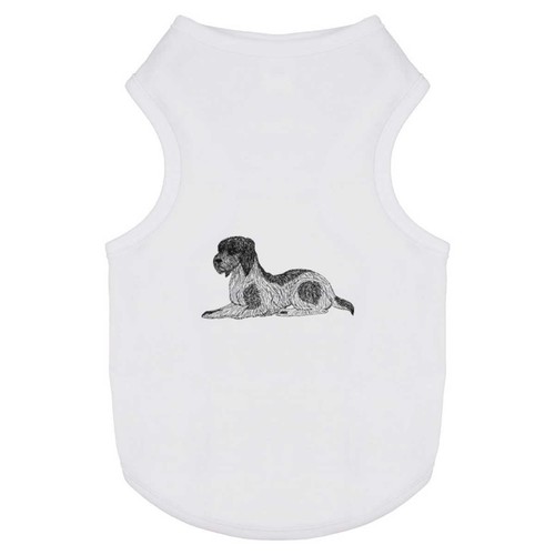 Italian spinone pet dog - spinone',