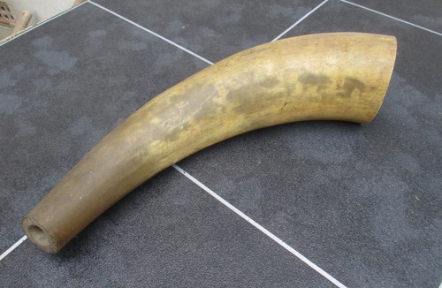 Vintage bovine bull - bull, cow