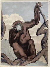 PAUL JOUVE ART DECO ANIMAL ENGRAVING MONKEY MONKEY GORILLA MONKEY MONKEY 