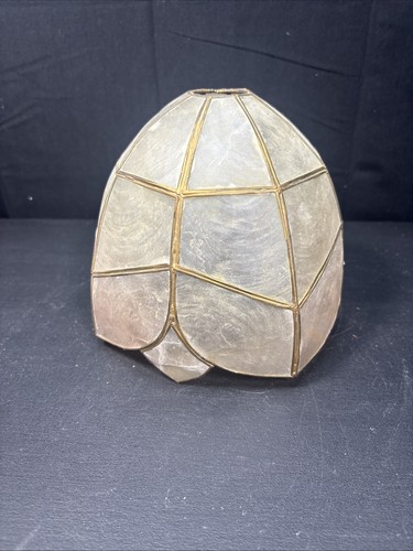 Shell capiz light - shell, bell