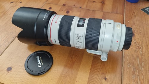 Canon 200mm 8 - canon, ef