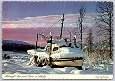 Alaskan Winter - Snow Covered