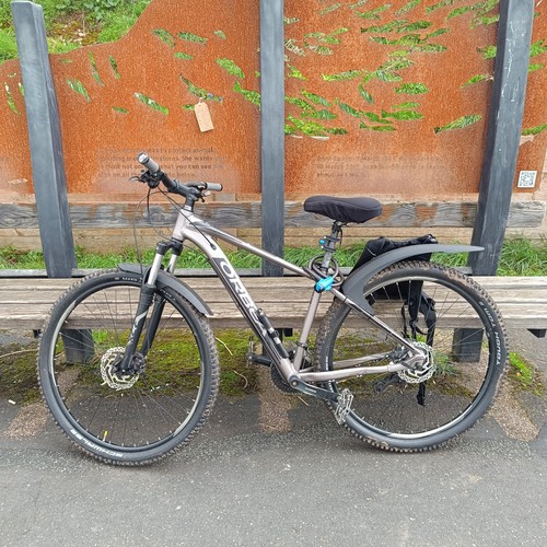 Mountain bike for - bike, sale