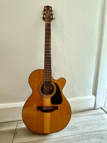 Takamine series - takamine,